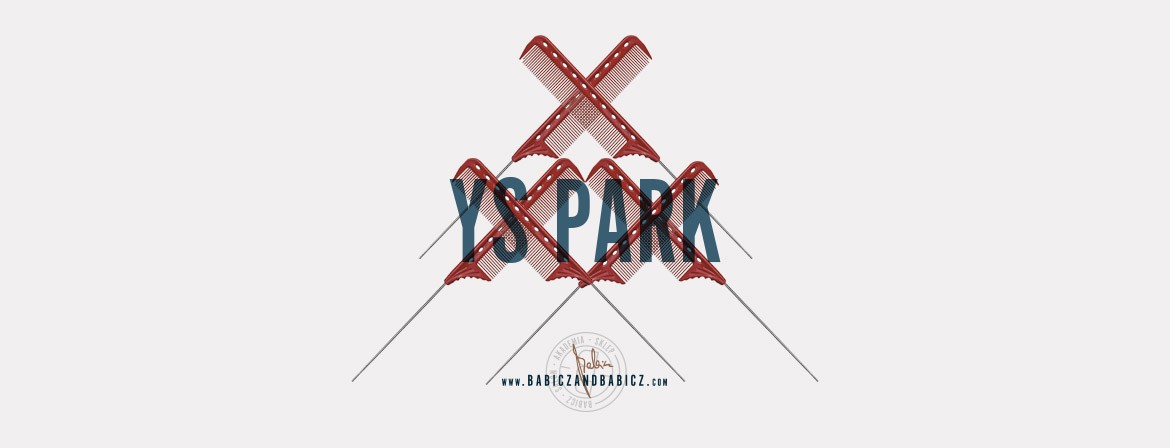 YS Park